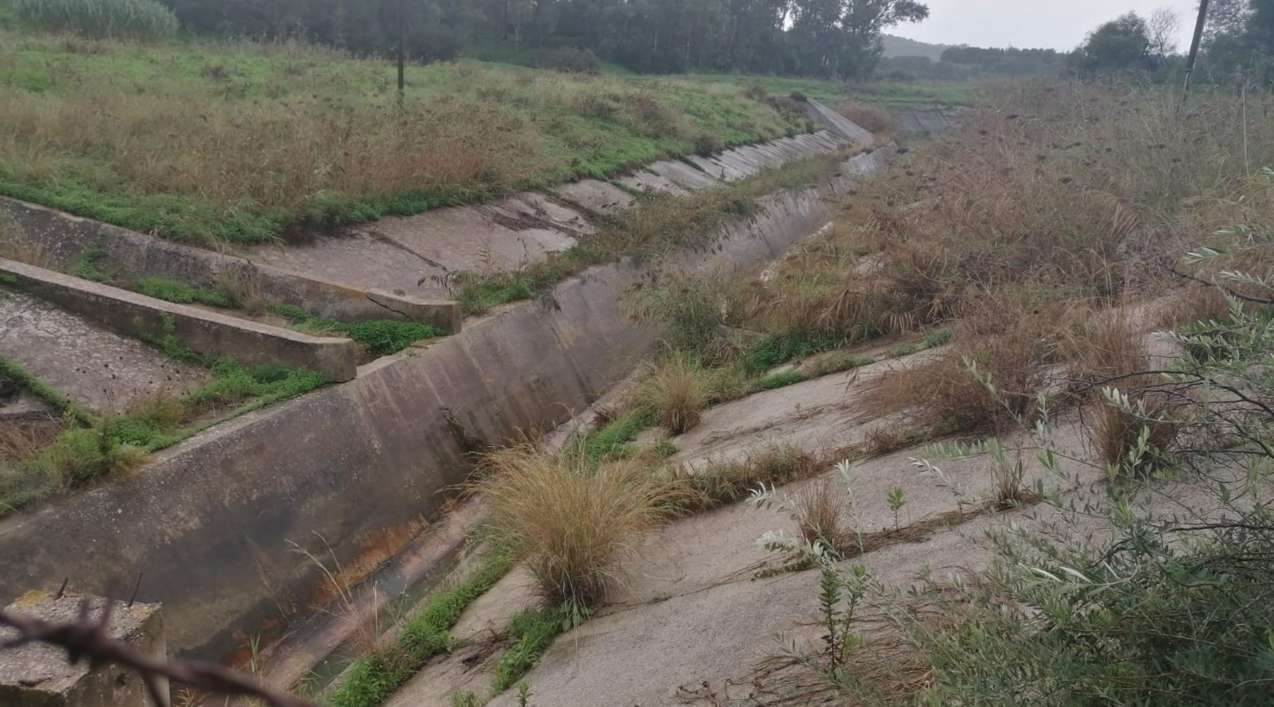 Paradosso idrico a Trapani: acqua della diga sversata nonostante la siccità. Coldiretti e Cia denunciano