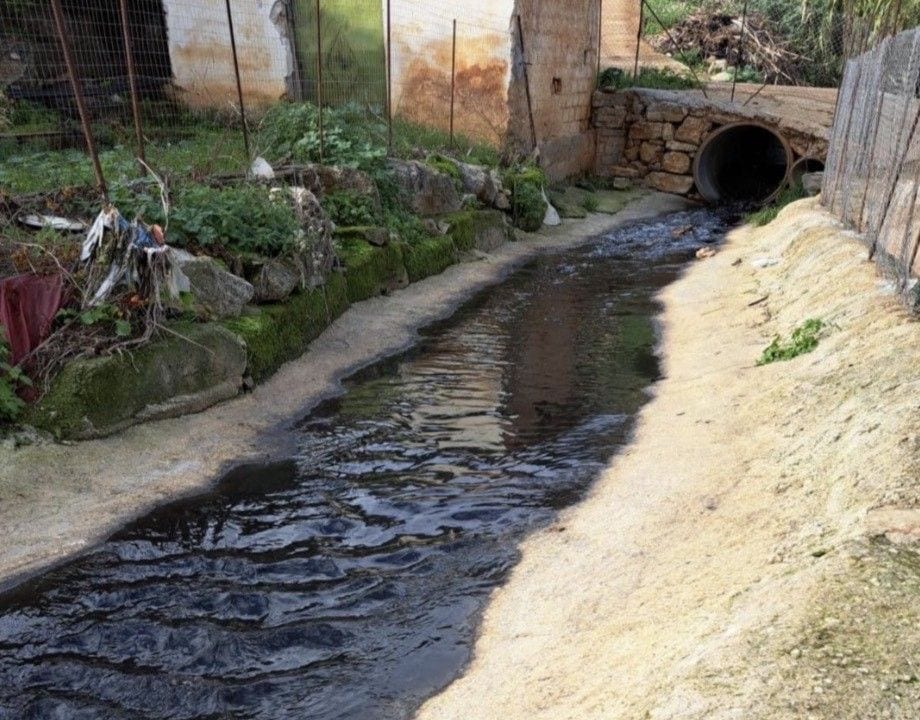 Forestale denuncia tre oleifici nel palermitano per inquinamento del fiume Eleuterio
