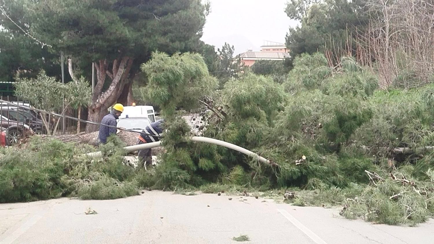 Ciclone Harry sulla Sicilia: porti devastati e centinaia di interventi tra Trapani e Palermo