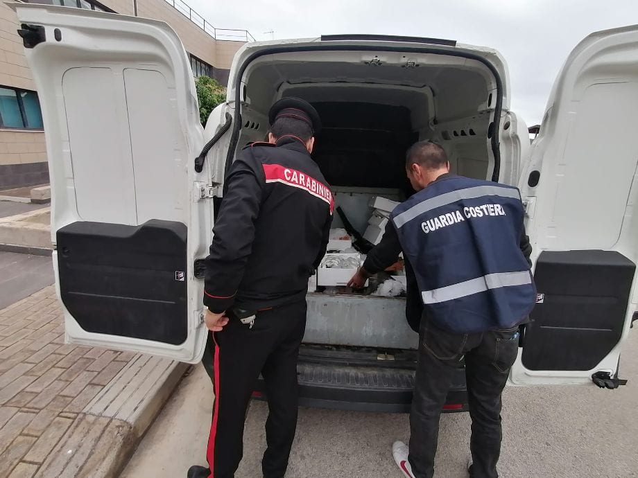 Controlli sulla sicurezza a Palermo: sequestrati 82 chili di pesce, cinque denunciati