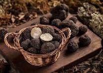 Calatafimi celebra il tartufo: degustazioni e conferenze