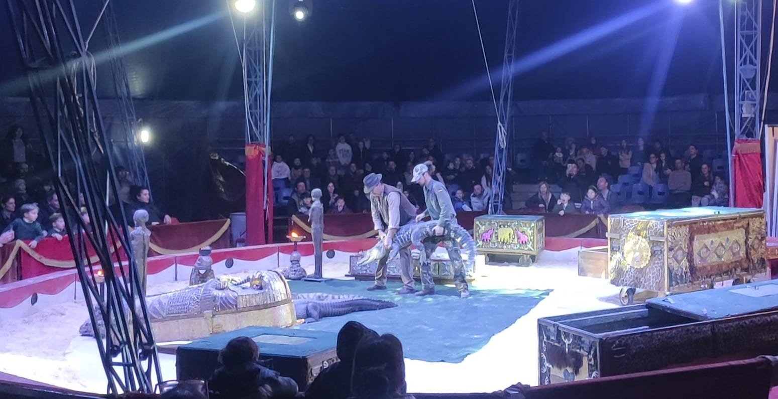 Ritorna ad Alcamo con un nuovo spettacolo il Circo Donato Orfei (Intervista)