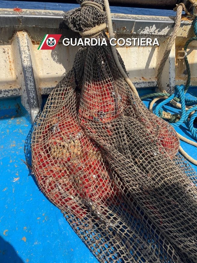 Pesca illegale al largo di Marettimo: sequestrati 130 chili di gamberi e due reti
