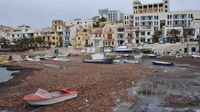 Il porticciolo si Selinunte è ormai impraticabile, Cristina Ciminnisi chiede accesso agli atti