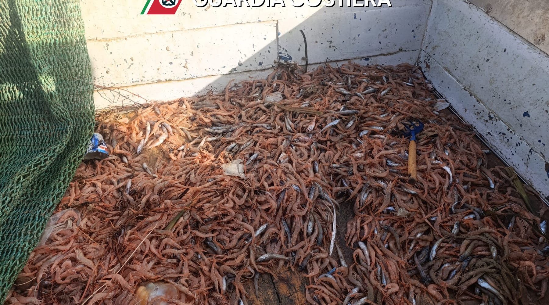 Maxi sequestro di pesce a Mazara del Vallo: 21 tonnellate fuori mercato