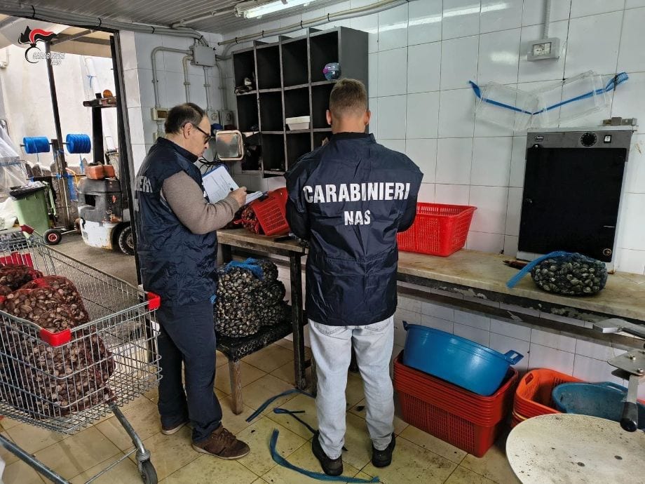 Filtro sulla filiera ittica: il NAS chiude vivai e sanziona ristoranti tra Palermo e provincia