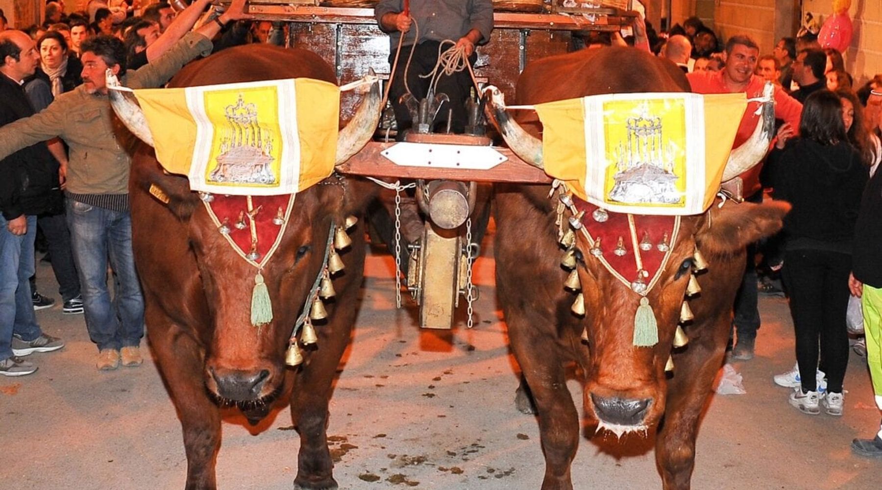 Focolaio in Sardegna, saltano i bovini: Calatafimi si affida alle pariglie toscane