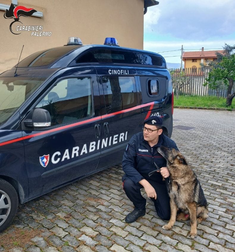 Palermo saluta Ron, il cane antidroga dei Carabinieri va in pensione