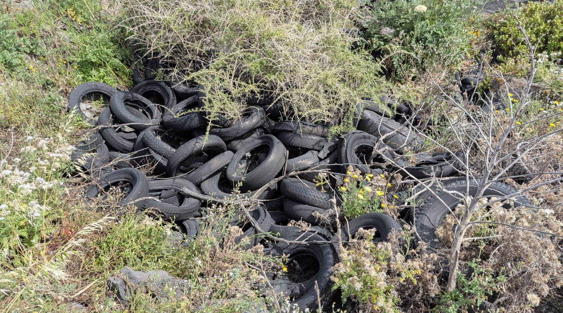 Pantelleria, scoperta discarica vicino alla costa, pneumatici nascosti nella vegetazione