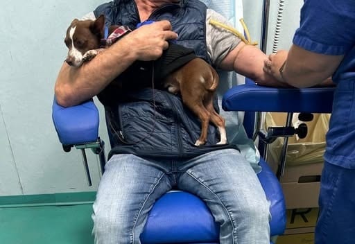 Sant’Antonio Abate: primo paziente in reparto con il suo cane, l’Asp apre agli animali