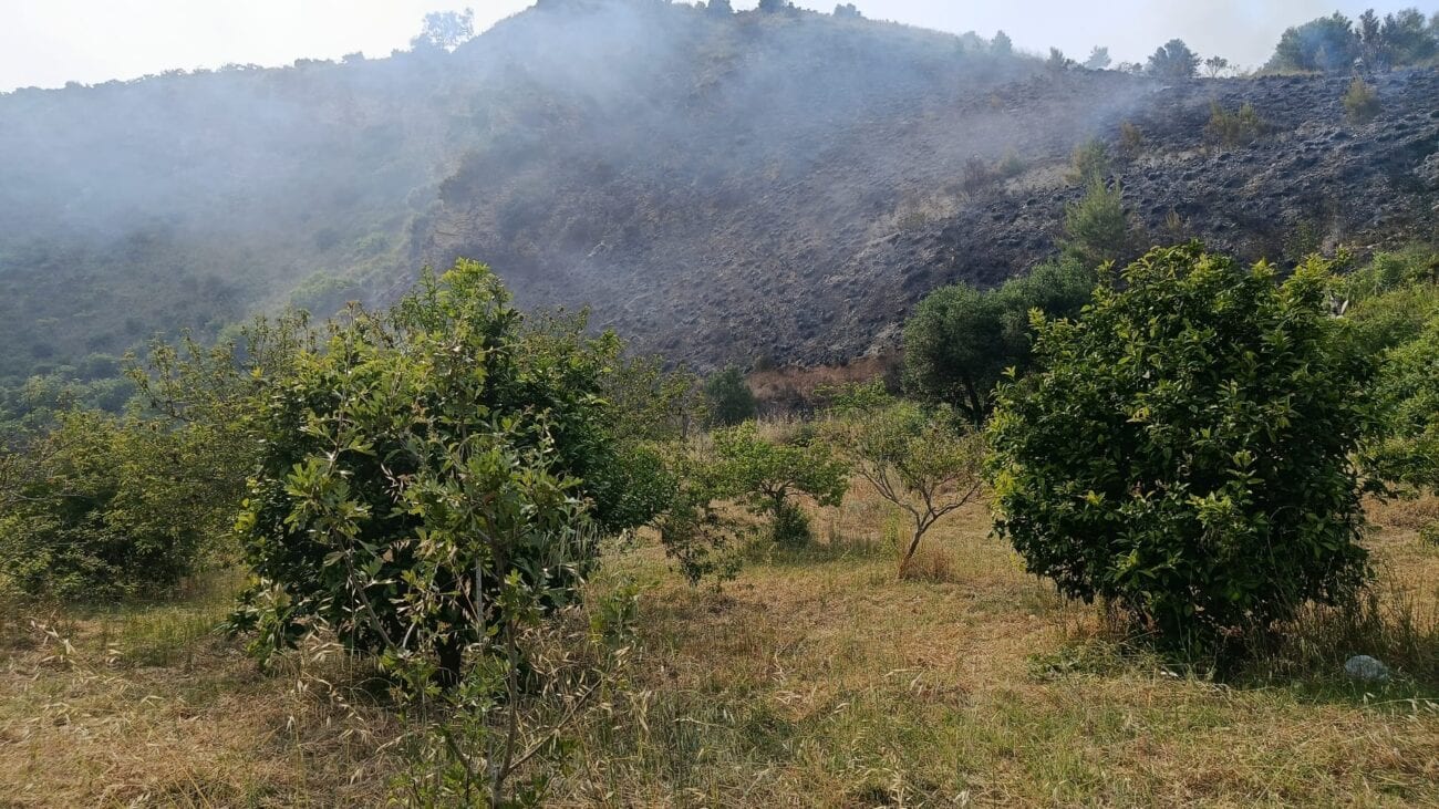 Incendi, stagione al via a Castellammare del Golfo: fiamme distruggono due ettari