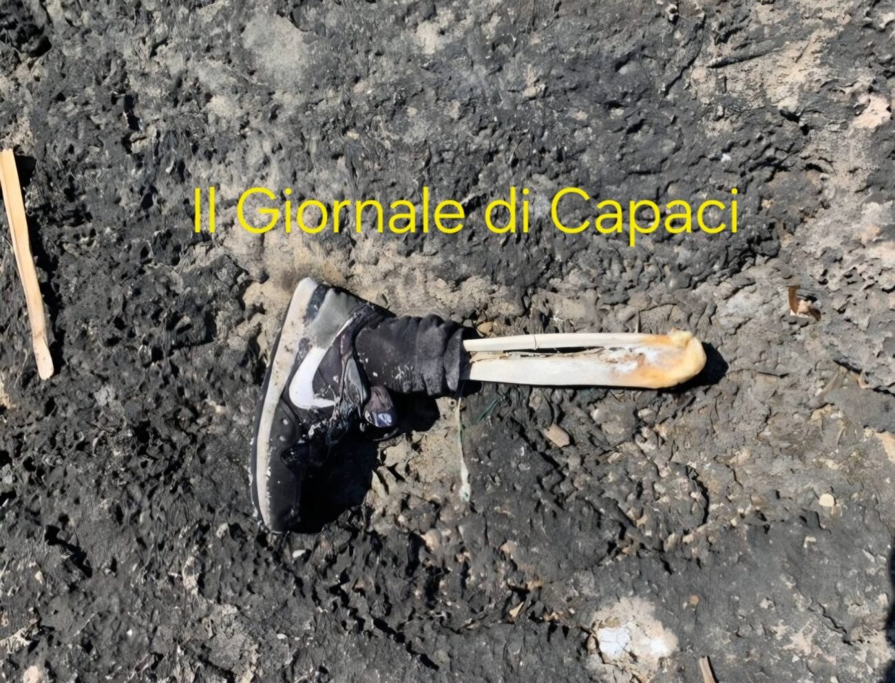 Mistero a Capaci e Isola delle Femmine: trovati resti umani, l’ipotesi dei migranti