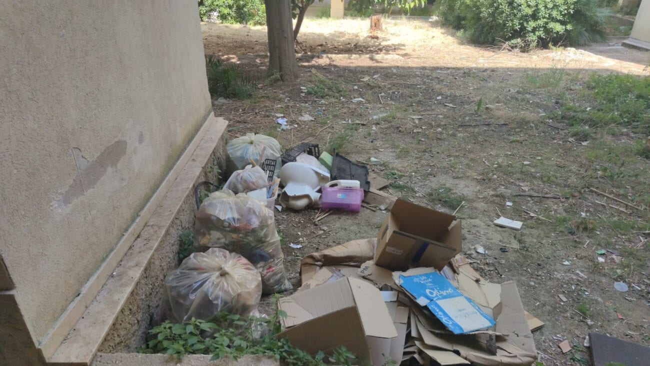 Rifiuti e pini abbandonati ad Alcamo: i residenti si rimboccano le maniche e puliscono