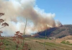 Montagna Grande brucia da tre giorni, centinaia di ettari in cenere