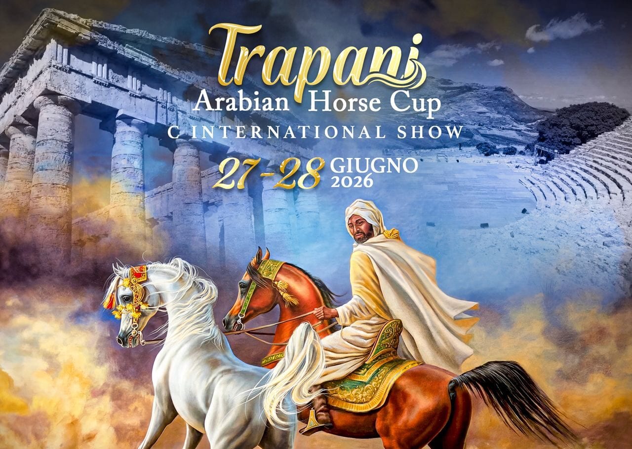 A Buseto Palizzolo il 27 e 28 giugno torna la Trapani Arabian Horse Cup