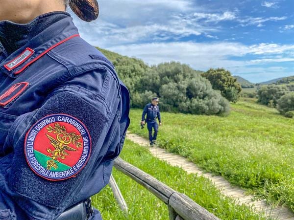 Palermo, blitz in un casolare: sequestrati 160 chili di stigghiola e carni senza tracciabilità