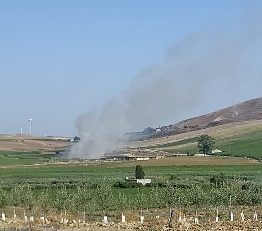Incendio sfiora il canile di Trapani, Tranchida: “Possibile origine dolosa”