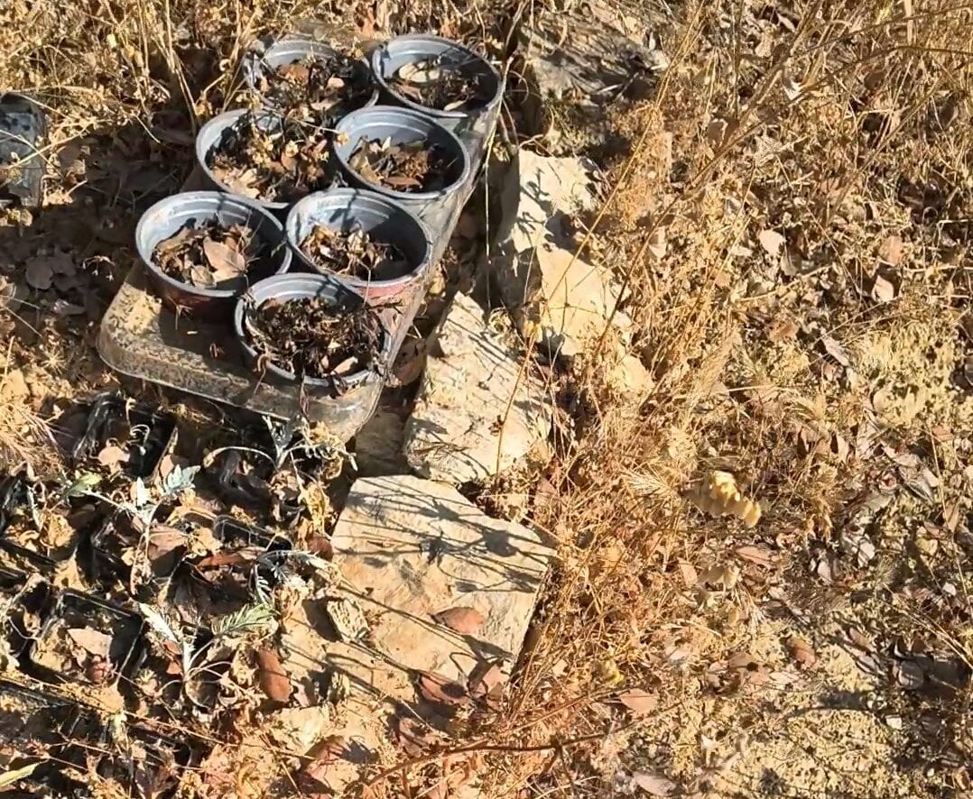 Riserva naturale Bosco d’Alcamo, un monitoraggio civico svela le falle della gestione (VIDEO)
