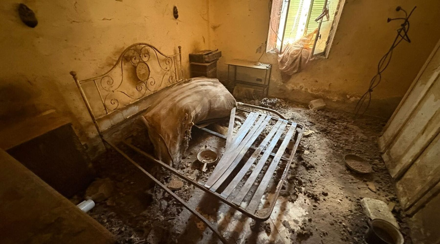 Quasi cento cani sequestrati a San Giuseppe Jato, erano tra escrementi e degrado