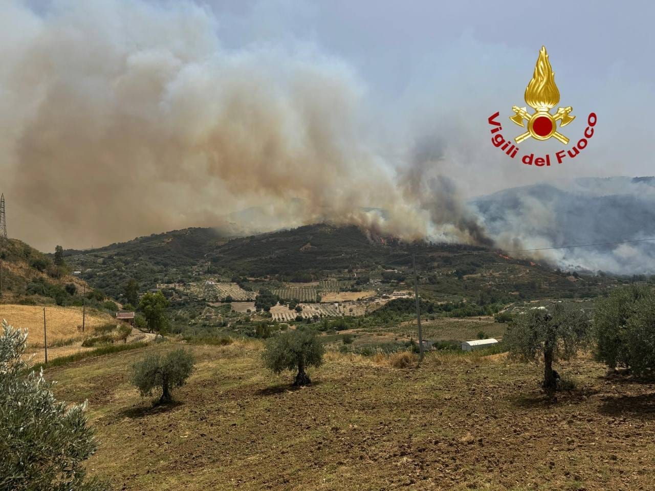 Sicilia assediata dagli incendi: devastati oltre cento ettari di bosco, tra la Valle del Belice e il Palermitano
