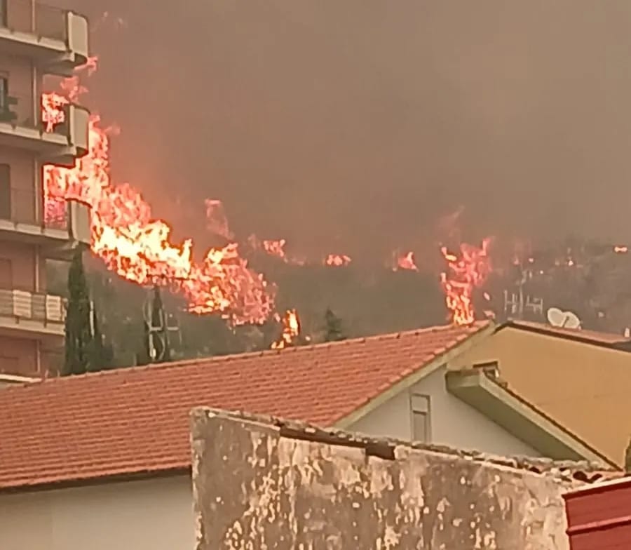 Incendi nel Palermitano, distrutto il bosco di Casaboli: due case in fumo a Monreale