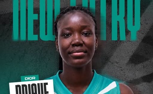 Prosegue la campagna acquisti della Golfobasket Alcamo