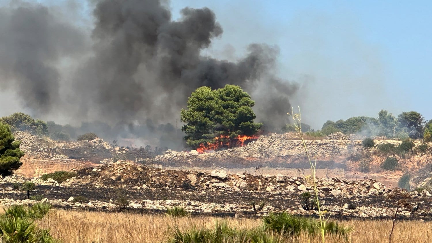 Vasto incendio nelle campagne di Marsala, fiamme tra Ciavolo e Scacciaiazzo