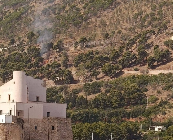 Spenti i due incendi a Castellammare, fiamme domate in circa due ore