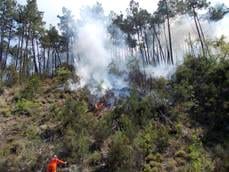 Alcamo-Prevenzione incendi e pulitura terreni, firmata ordinanza sindacale