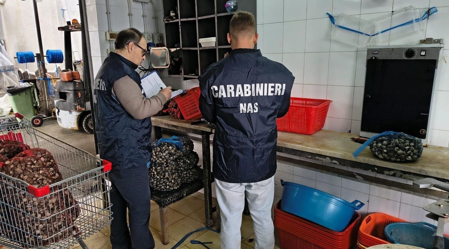 Controlli NAS a Palermo: chiuse pescherie e gelaterie, multe per 34mila euro