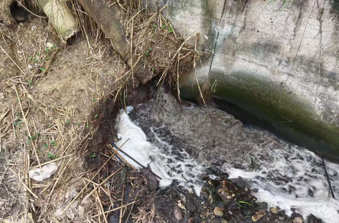 Scarichi dal depuratore nel torrente Canalotto, allarme per l’acqua torbida
