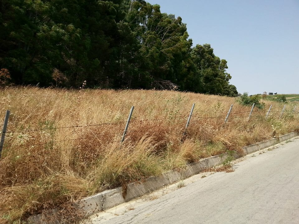 ALCAMO-Riserva Monte Bonifato, non tutti i sentieri riaperti