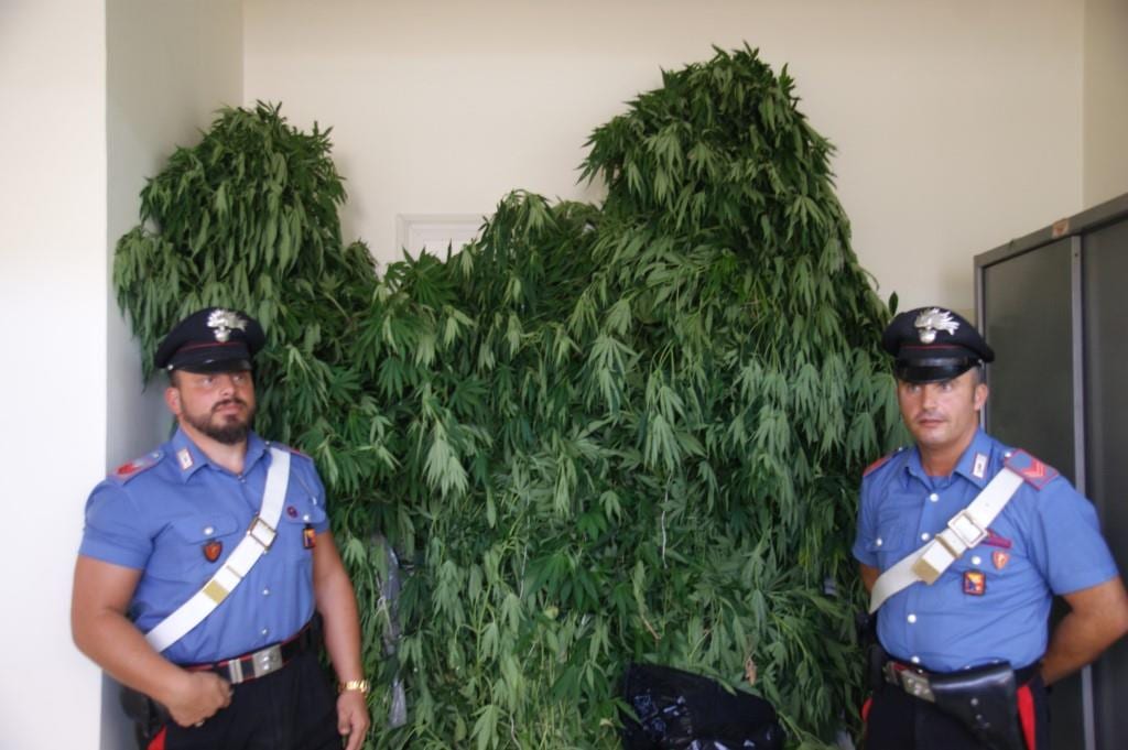 PARTINICO: Coltivano cannabis nel giardino di casa.