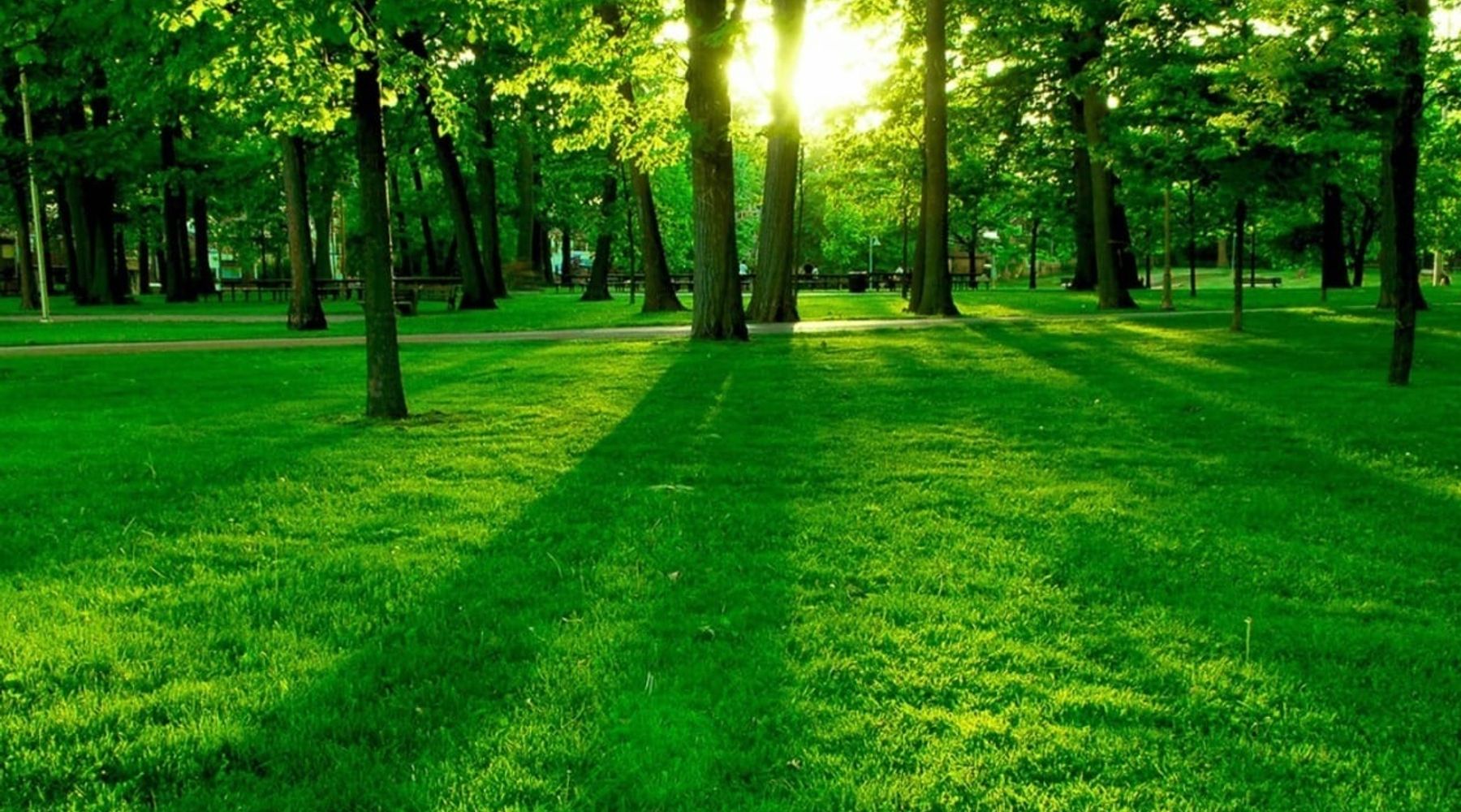 C/mmare del Golfo: Comune “green” alla ricerca di fondi