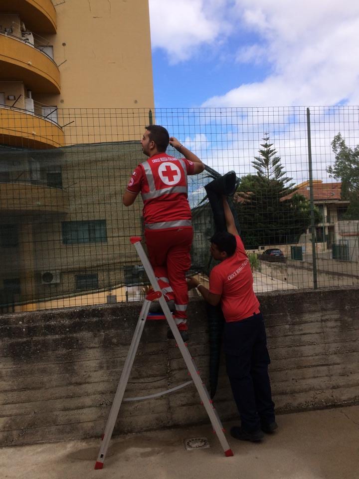 Alcamo: campo immigrati, tante novità