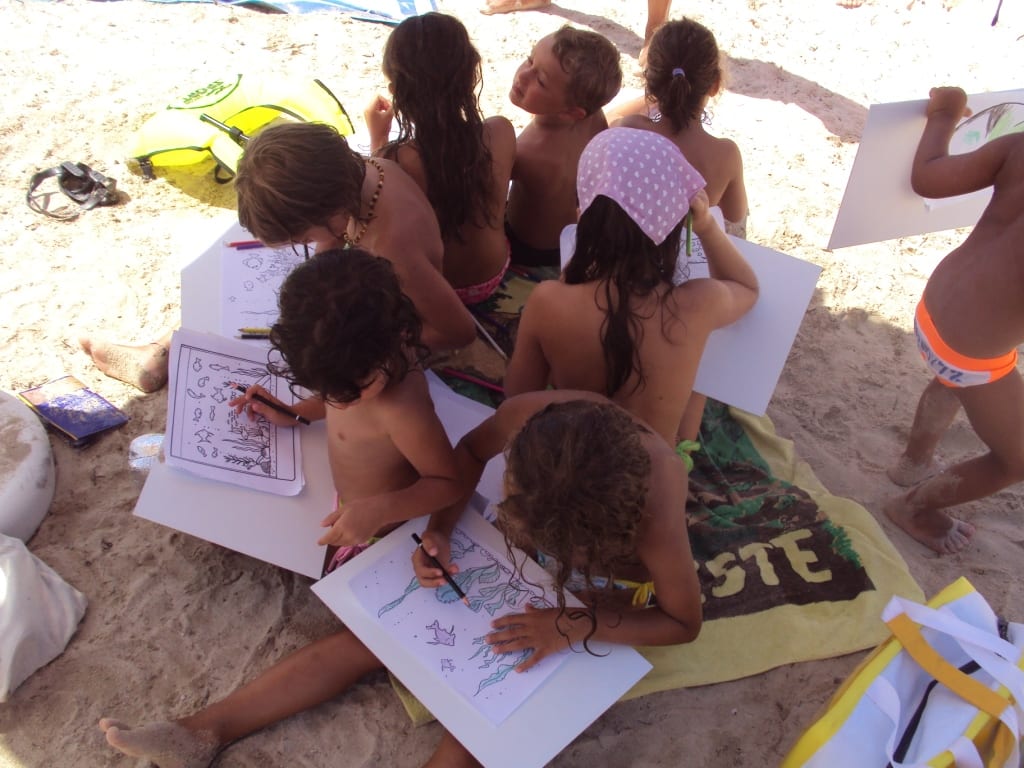 Favignana, educazione ambientale in spiaggia