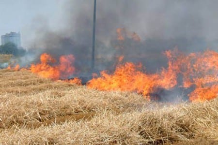 Alcamo: contrasto incendi, altra raffica di ordinanze