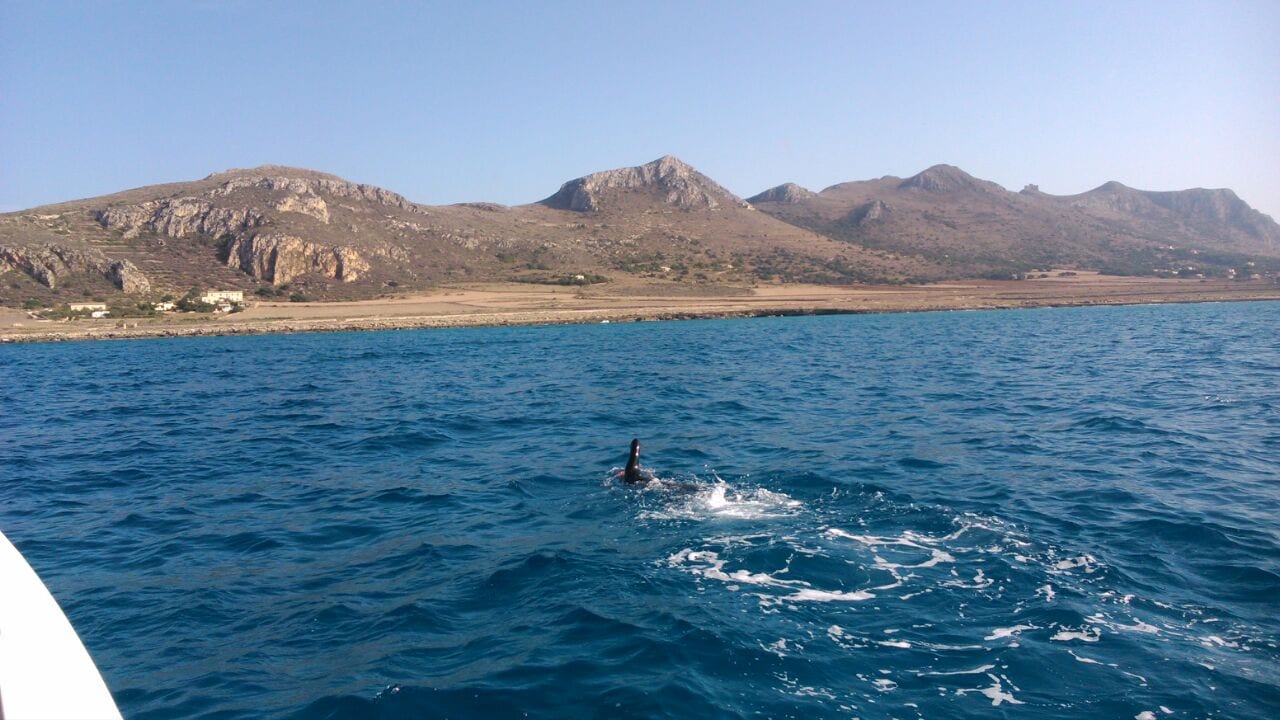 Egadi, traversata in solitaria a nuoto