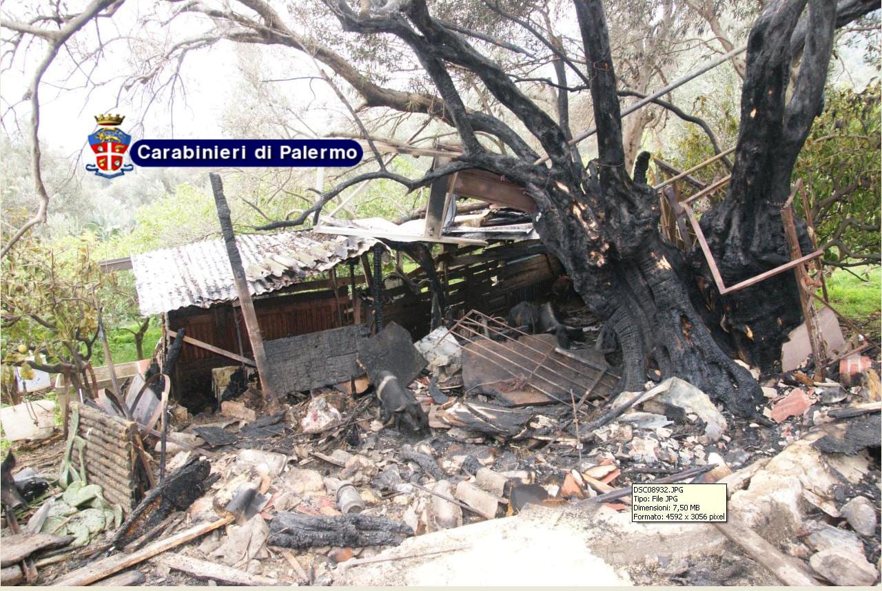 Carini : incendio ad un capannone adibito al riparo di animali