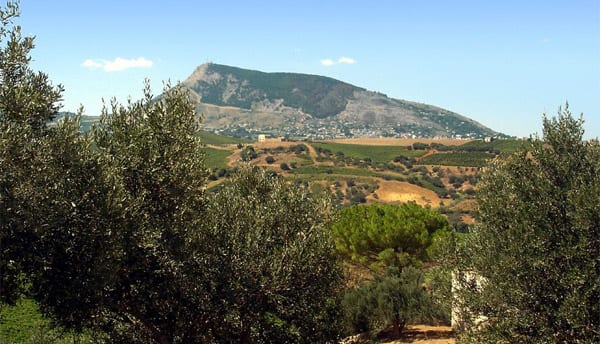 Alcamo: Riserva Monte Bonifato, tutto chiuso ed esplode la rabbia