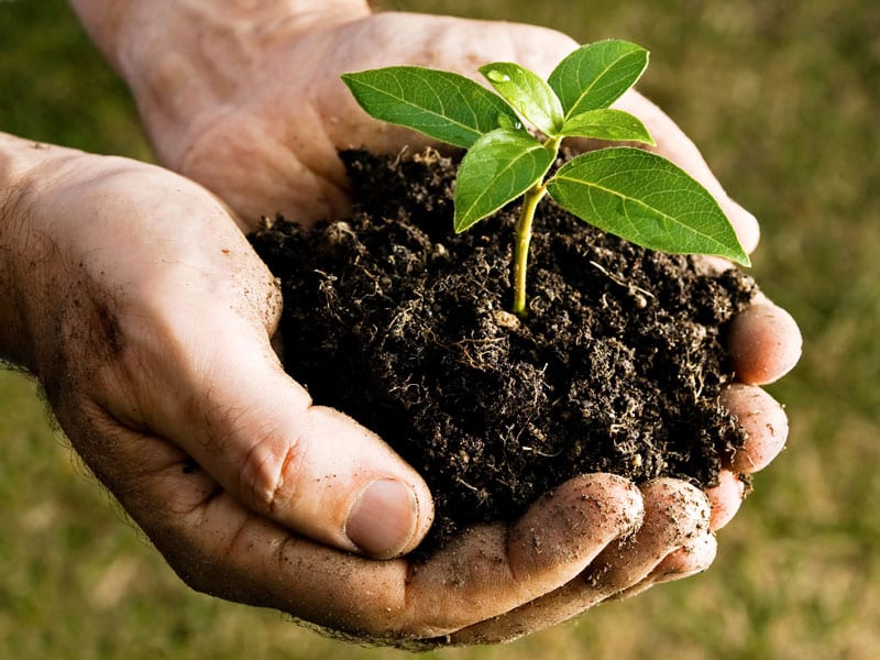 Alcamo-Compost, in arrivo alti sconti sulla Tari
