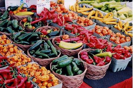 Trappeto-Inaugurato il mercato del contadino, apertura ogni domenica