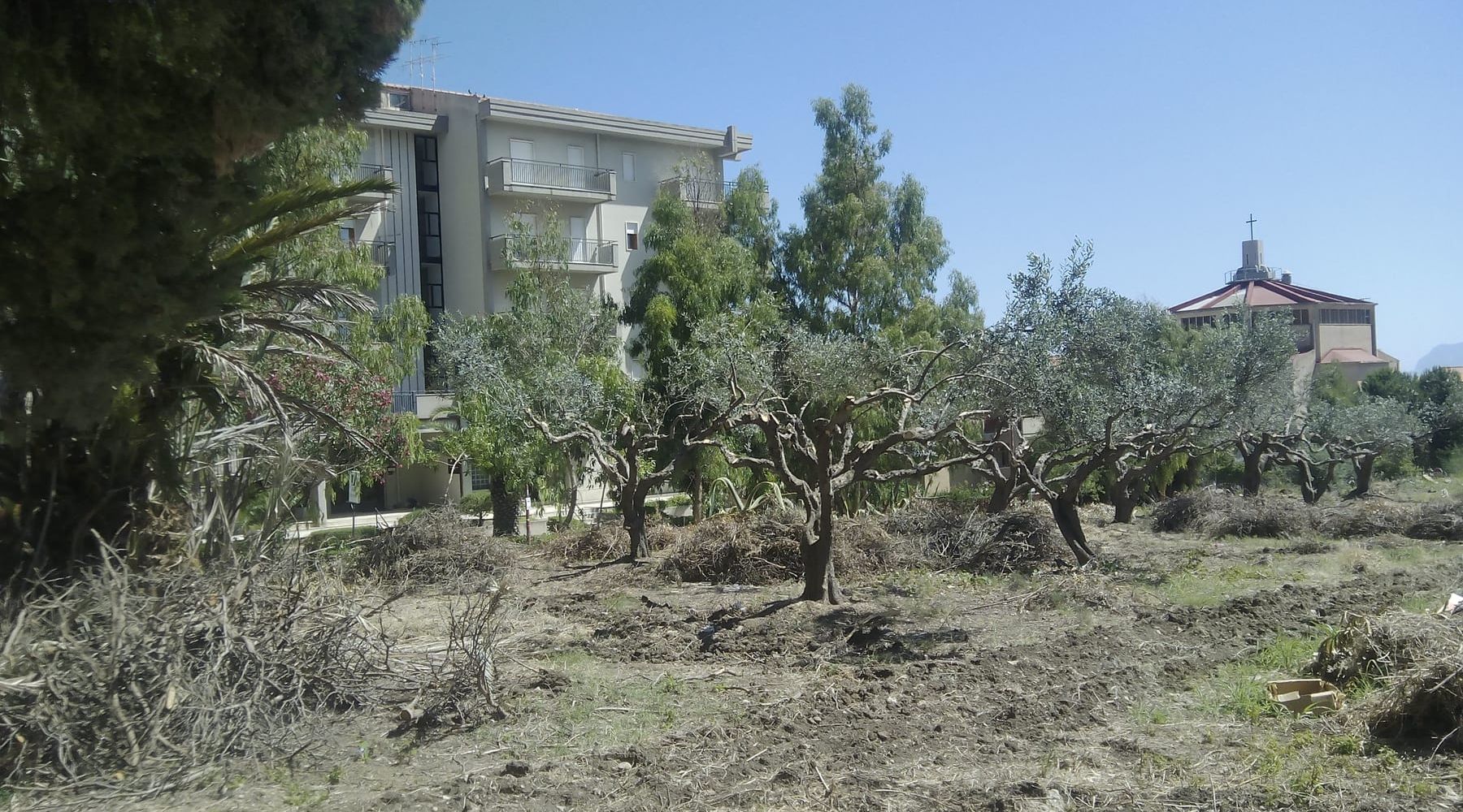Castellammare del Golfo-Terreno strappato alla mafia diventa “orto sociale”