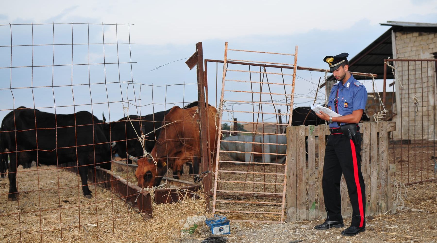 Camporeale e Monreale, controlli a tre allevamenti