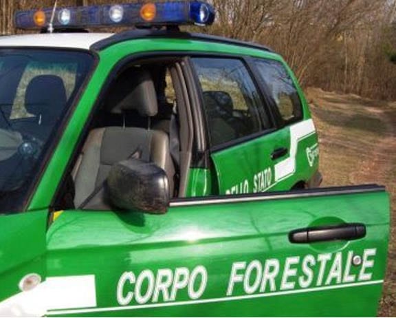 Forestali-“Subito in servizio”, la richiesta di Alcamo e Castellammare