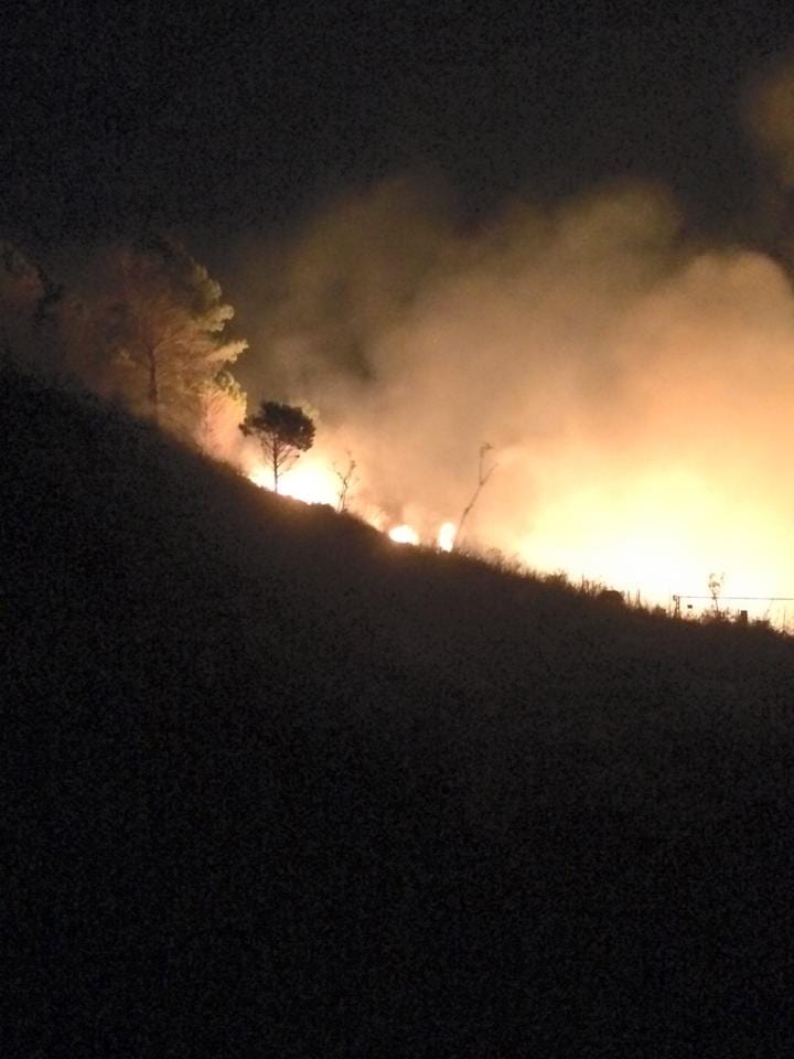 Alcamo-Vertice alla Regione sul Monte Bonifato