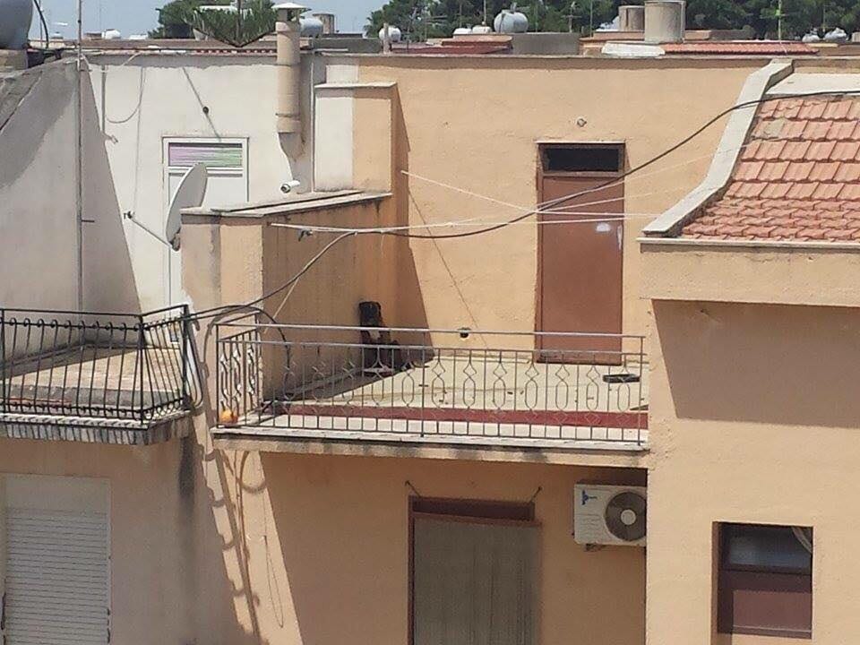 Partanna: cane in precarie condizioni, interviene il sindaco
