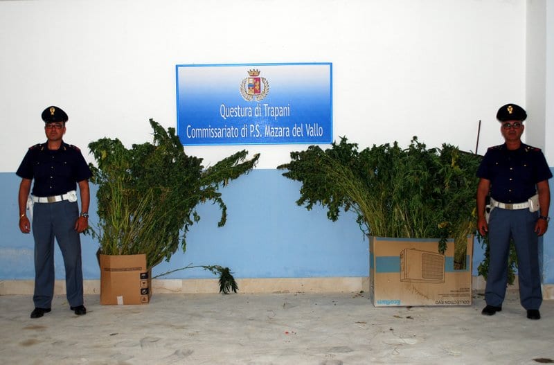 Mazara del Vallo, serra di marijuana in casa: arrestata