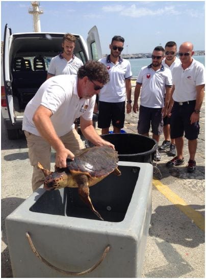 Mazara del Vallo, salvata tartaruga Caretta caretta