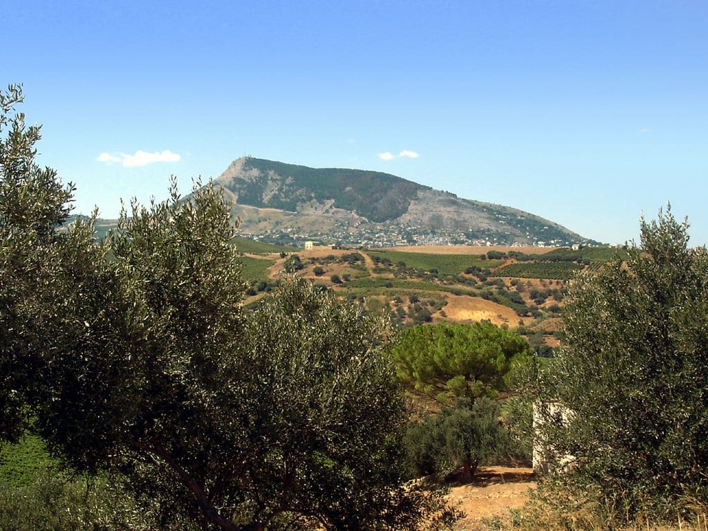 Alcamo-Quella convenzione fantasma per salvare il Monte Bonifato